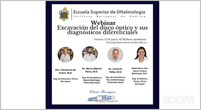 Excavación del disco óptico y sus diagnósticos diferenciales