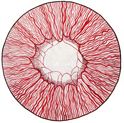 Diagrama